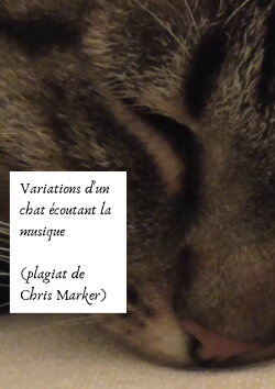 Variations of a cat listening to music (Chris Marker plagiarism) (2024)