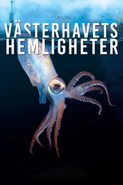 Västerhavets Hemligheter (2024) Västerhavets Hemligheter (2024)
