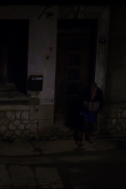 Vega (2014)