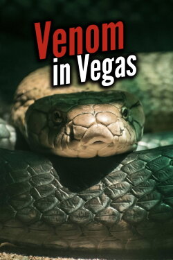 Venom In Vegas (2010) Venom In Vegas (2010)