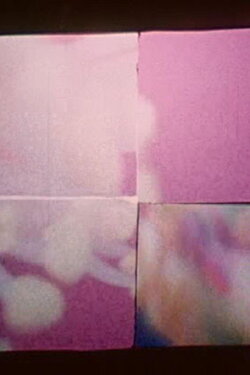 Vernal Obeisance (2003)
