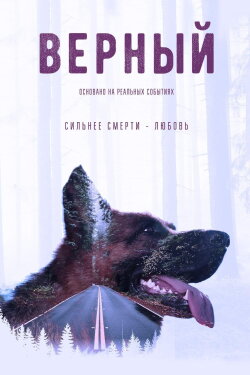 Верный (2016) Верный (2016)