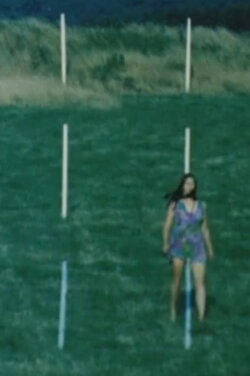 Vertical (1969) Vertical (1969)