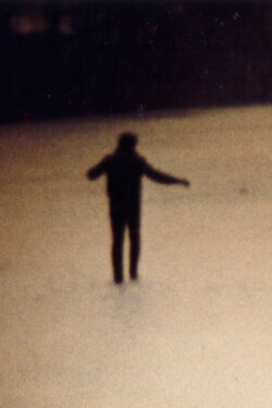Vertical/Horizontal (1985)