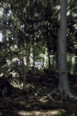 VERTIGO RUSH (2007) VERTIGO RUSH (2007)