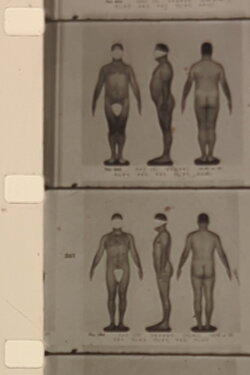 Vervielfältigung (1996) Vervielfältigung (1996)