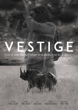 Vestige (2019)