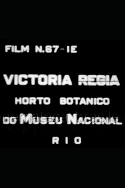 Victória Régia: Horto Botânico do Museu Nacional (1937)