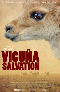 Vicuña Salvation (2023) Vicuña Salvation (2023)