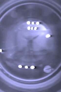 Video as no video (1978)
