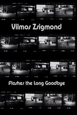 Vilmos Zsigmond Flashes 'The Long Goodbye' (2002) Vilmos Zsigmond Flashes 'The Long Goodbye' (2002)