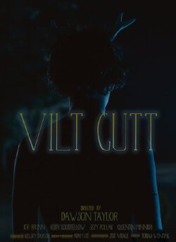 Vilt Gutt (2016)