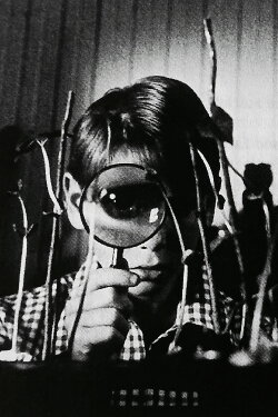 Vinaya (1992) Vinaya (1992)