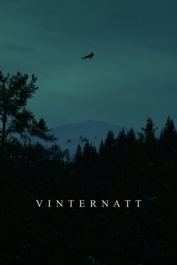 Vinternatt (2023)