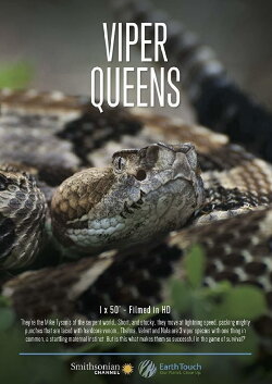 Viper Queens (2016) Viper Queens (2016)