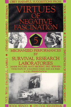 Virtues Of Negative Fascination (1986) Virtues Of Negative Fascination (1986)