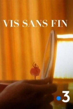 Vis sans fin (2012)