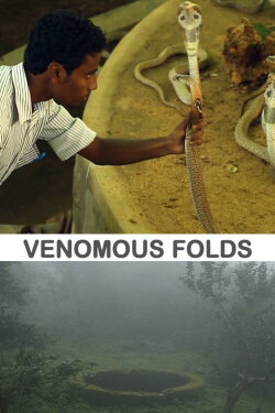 Vishaparvam (2012)