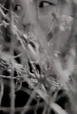 Visible Cinema (2013)
