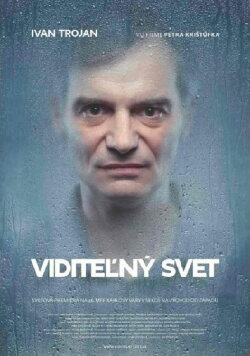 Visible World (2011) Visible World (2011)