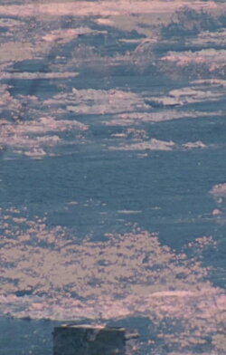 Visions in Meditation #3: Plato's Cave (1990) Visions in Meditation #3: Plato's Cave (1990)