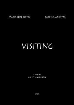 Visiting (2023) Visiting (2023)