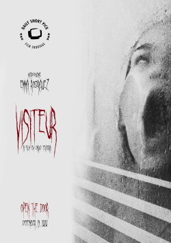 Visitor (2020)