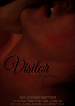 Visitor (2017)