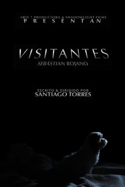 Visitors (2023)
