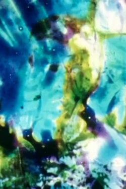 Vitrail (effacement / disparition) (2004) Vitrail (effacement / disparition) (2004)