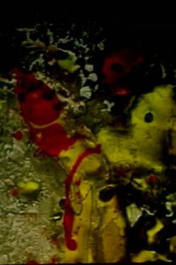 vitrum illuminatus (2002)