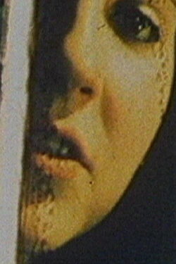 Viva avis (1985)