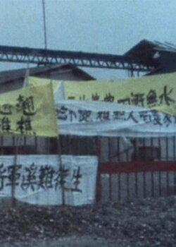 Voice of the People (1991)