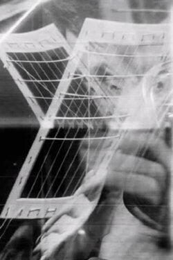 Volto telato (2002)