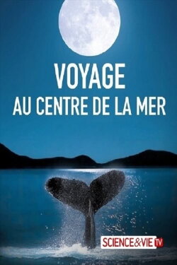 Voyage au-delà des étoiles (2020) Voyage au-delà des étoiles (2020)