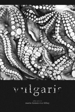 Vulgaris (2021)