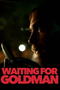 Waiting for Goldman (2021)