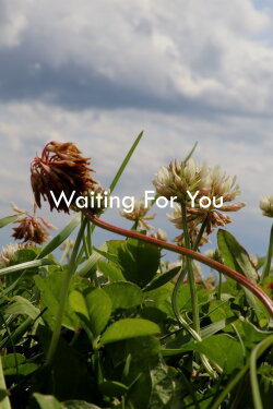 Waiting For You (2024) Waiting For You (2024)