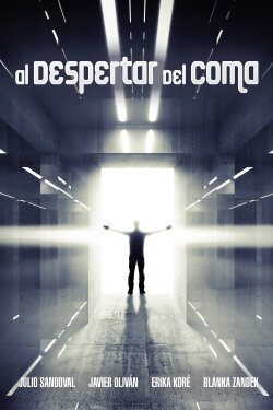 Waking Up From the Coma (2015)