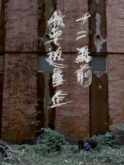 Walk Along The Wall (2021)