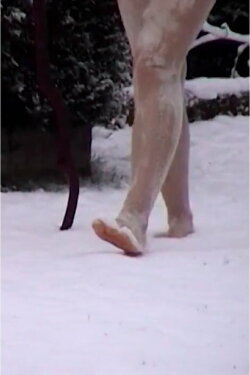Walk (2011)