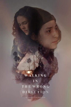 Walking in the Wrong Direction (2023)