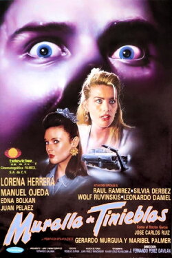 Wall of Darkness (1994) Wall of Darkness (1994)