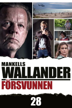 Wallander: Missing (2013) Wallander: Missing (2013)