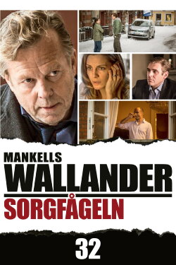 Wallander: The Sad Bird (2013)