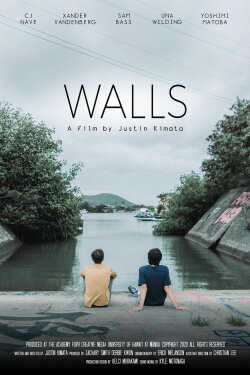 Walls (2020)