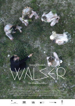 Walser (2016)