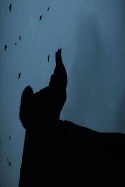 Waltz (2020)