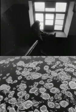 Wanderers of White Time (1993) Wanderers of White Time (1993)