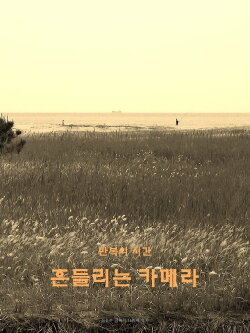 wandering camera (2020)